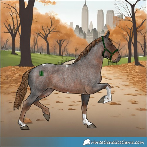 Horse Color:Gray Liver Red Roan Tobiano