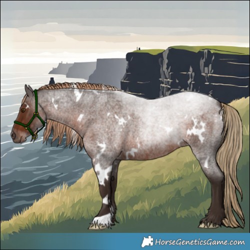 Horse Color:White Spotted Liver Red Roan Rabicano 