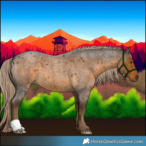 Horse Color:Chocolate Palomino Roan 