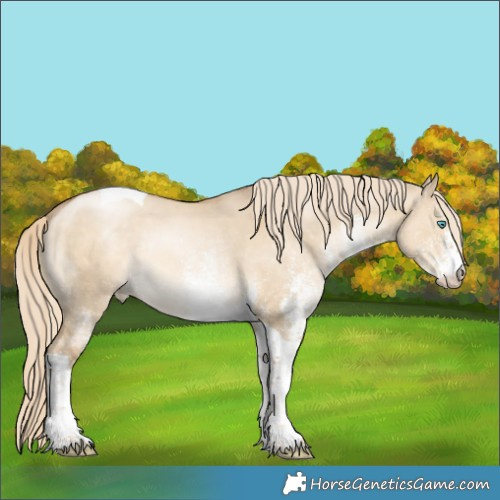 Horse Color:White Spotted Chocolate Palomino Pearl Dun Tobiano Rabicano