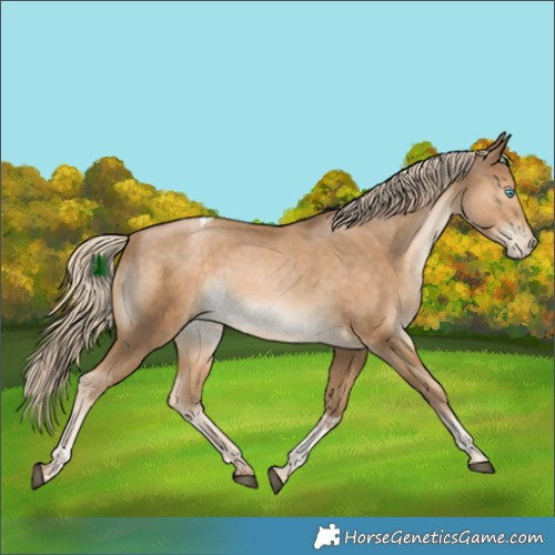Horse Color:Chocolate Palomino Snowdrop Tobiano