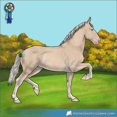 Horse Color:Cremello Rabicano 