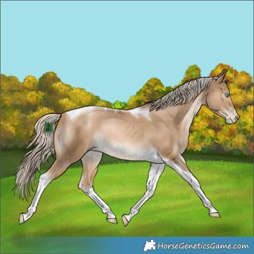 Horse Color:White Spotted Chocolate Palomino Snowdrop Tobiano 