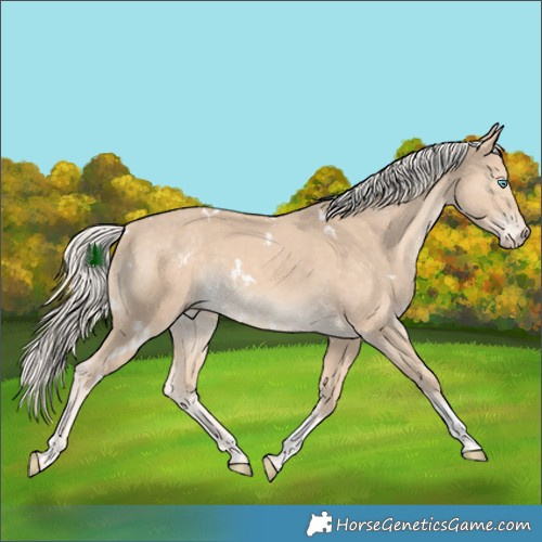 Horse Color:White Spotted Cremello Tobiano Rabicano
