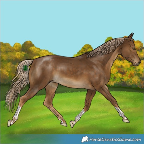 Horse Color:Chocolate Palomino Tobiano 
