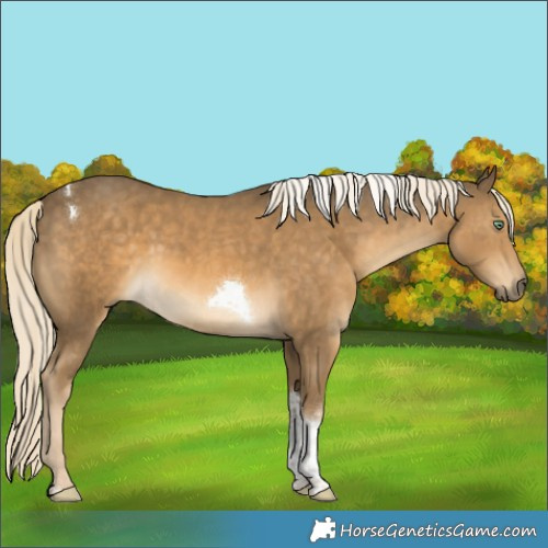 Horse Color:Chocolate Palomino Mushroom Sabino Tobiano