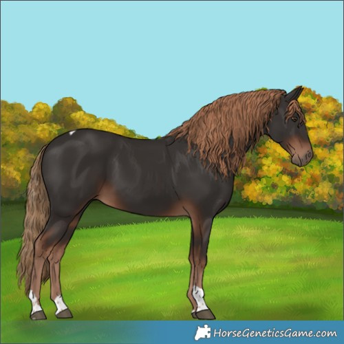 Horse Color:White Spotted Liver Chestnut Tobiano 