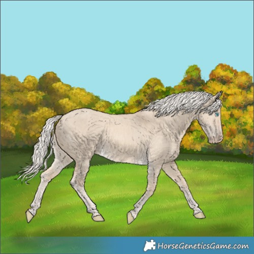 Horse Color:Cremello Dun
