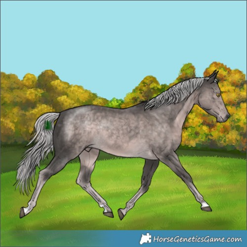 Horse Color:Platinum Chocolate Palomino Mushroom Rabicano 