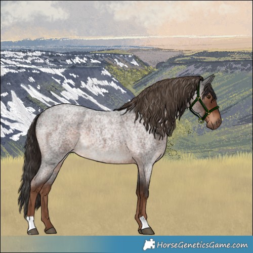 Horse Color:Liver Red Roan Rabicano 