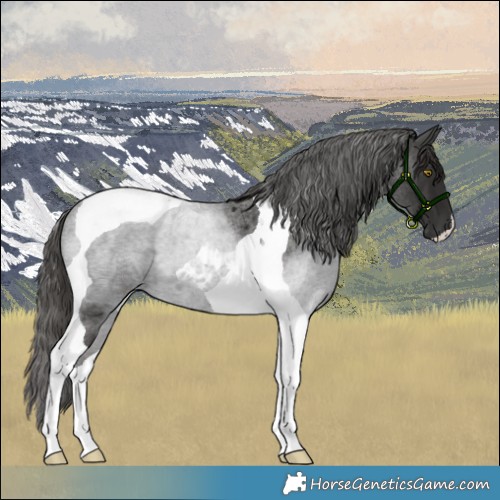 Horse Color:Liver Red Roan Tobiano 