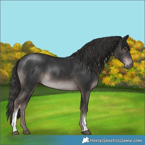 Horse Color:Platinum Liver Chestnut Tobiano Rabicano