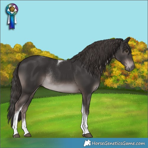 Horse Color:Platinum Liver Chestnut Tobiano Rabicano