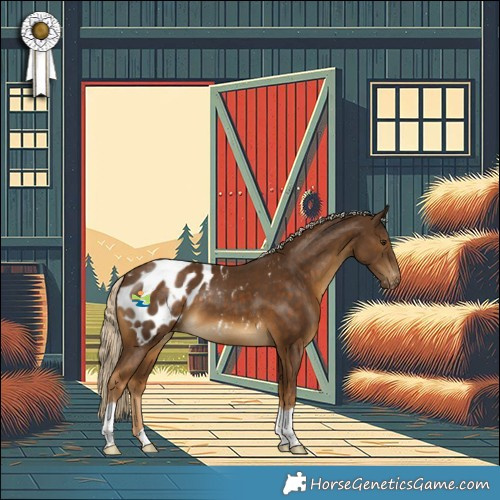 Horse Color:Chocolate Palomino Blanket 