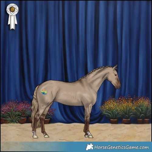 Horse Color:Liver Red Dun