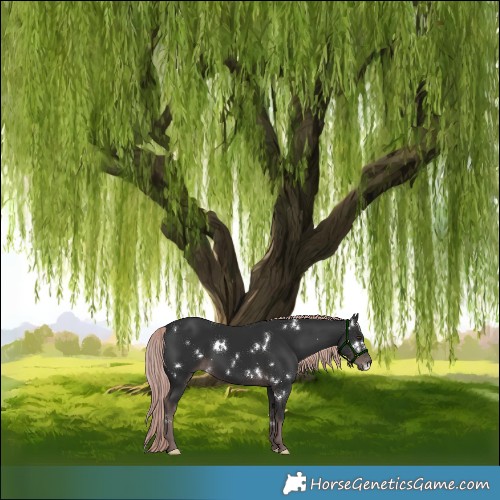 Horse Color:Platinum White Spotted Liver Chestnut