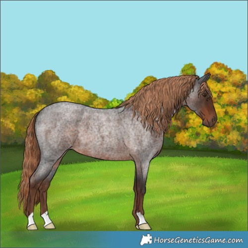 Horse Color:Liver Red Roan 