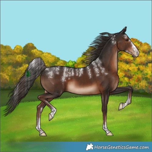 Horse Color:Powder White Liver Chestnut