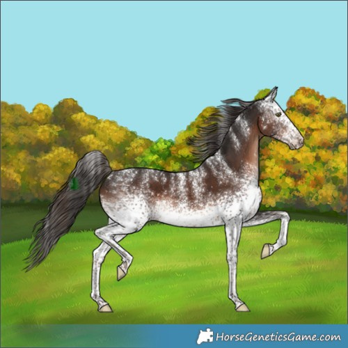 Horse Color:Powder White White Spotted Liver Chestnut 
