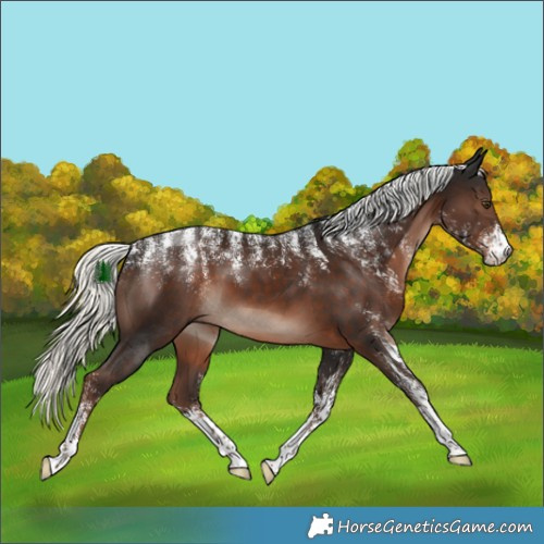 Horse Color:Powder White Liver Chestnut Mushroom 