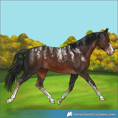 Horse Color:Powder White Liver Chestnut