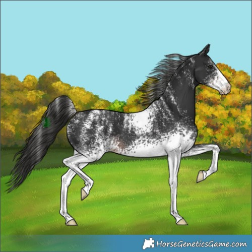 Horse Color:Powder White White Spotted Liver Chestnut