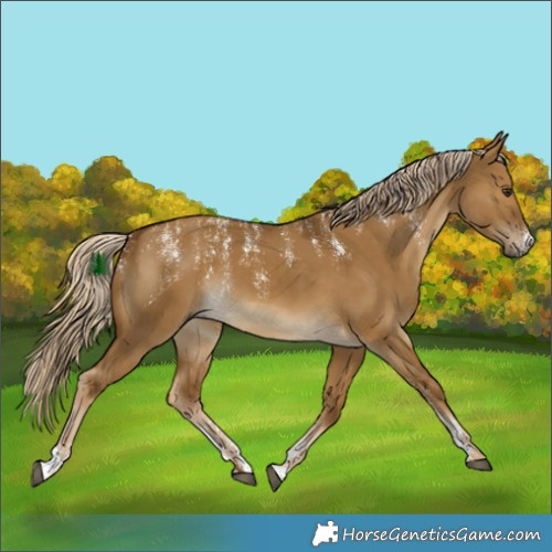 Horse Color:Powder White Chocolate Palomino Dun