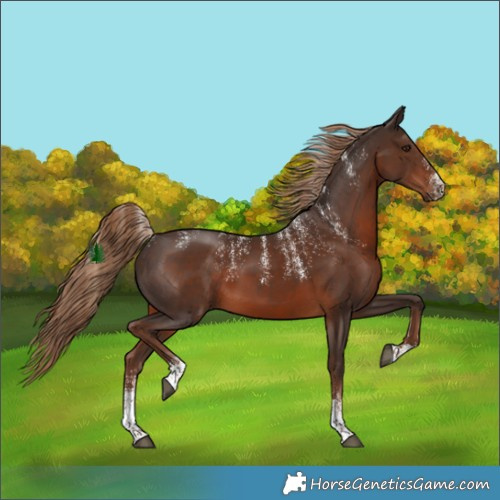 Horse Color:Powder White Liver Chestnut 