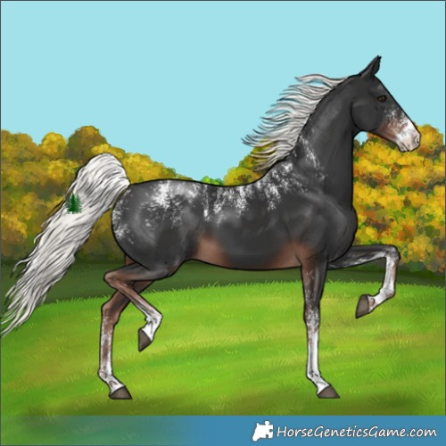 Horse Color:Powder White Liver Chestnut Mushroom 