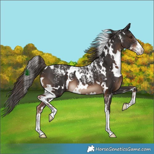 Horse Color:Powder White White Spotted Liver Chestnut 