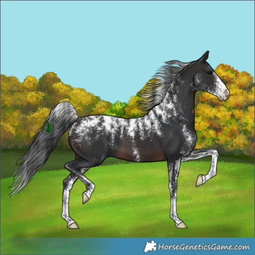 Horse Color:Powder White Brown 