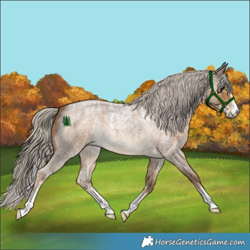 Horse Color:Powder White Chocolate Palomino Roan