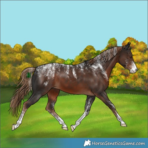 Horse Color:Powder White Liver Chestnut 