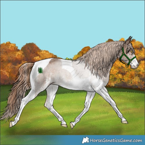 Horse Color:White Spotted Liver Red Dun Tobiano Rabicano 