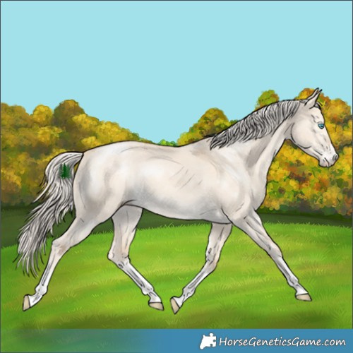 Horse Color:White Spotted Cremello Dun 