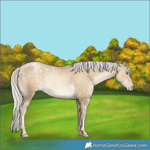 Horse Color:White Spotted Silver Buckskin Pearl 