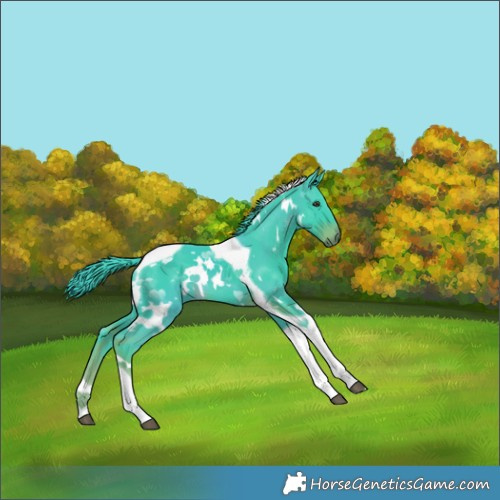 Horse Color:Watercolor White Spotted Liver Chestnut Tobiano