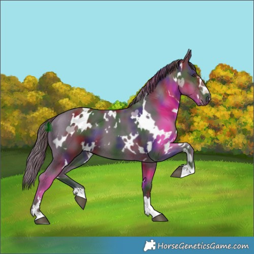 Horse Color:Nacre White Spotted Liver Chestnut 