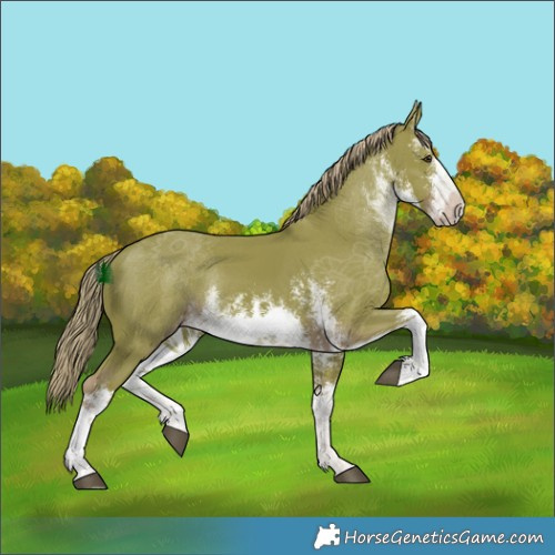 Horse Color:Watercolor White Spotted Liver Chestnut