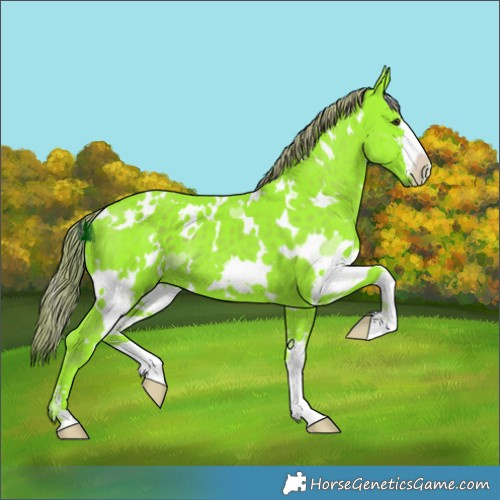 Horse Color:Watercolor White Spotted Liver Chestnut 