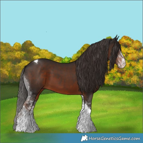 Horse Color:White Spotted Liver Chestnut Tobiano 