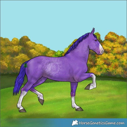 Horse Color:Watercolor White Spotted Liver Red Dun 