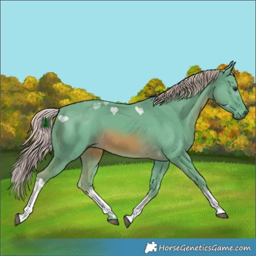 Horse Color:Watercolor White Spotted Chocolate Palomino 
