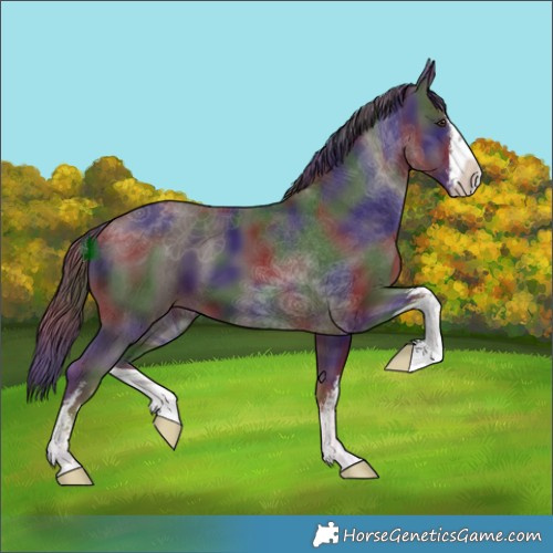 Horse Color:Nacre White Spotted Liver Chestnut