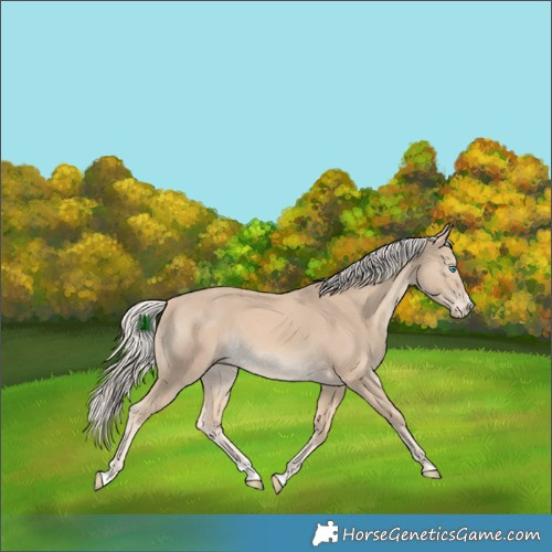 Horse Color:White Spotted Cremello Splash Rabicano 