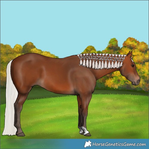 Horse Color:Silver Brown 
