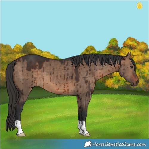 Horse Color:Brown Dun Brindle