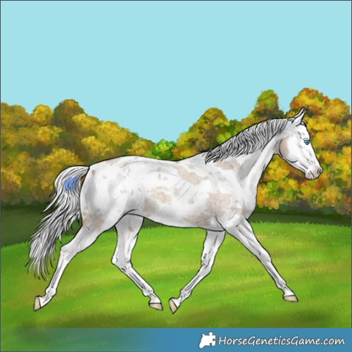 Horse Color:Brown Roan Dun Harlequin Merle Splash 