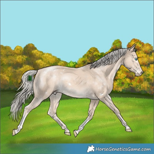 Horse Color:White Spotted Cremello Tobiano Rabicano 