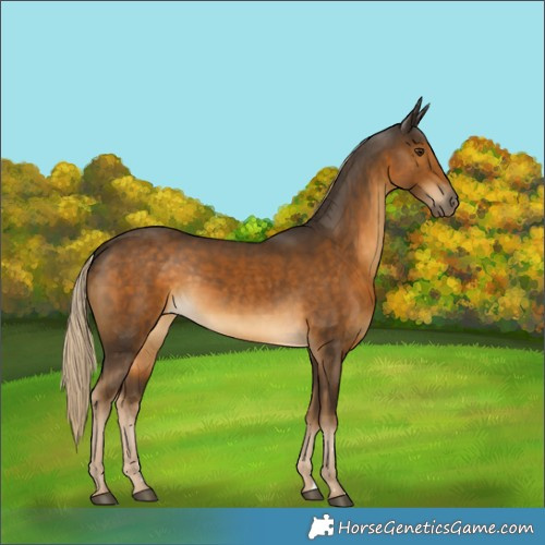 Horse Color:Chocolate Palomino